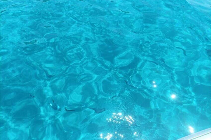 Dinghy tour in the Gulf of Cagliari, diving, drinks and lots of sun