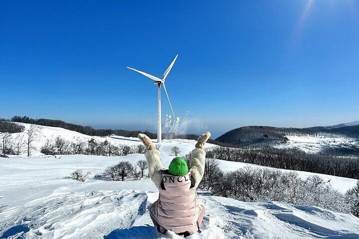 Balwangsan Cable Car & Samyang Ranch One Day Tour From Seoul