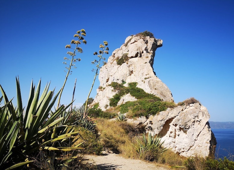 Picture 2 for Activity Cagliari Sunset tour: Poetto Tower and NatureTherapy