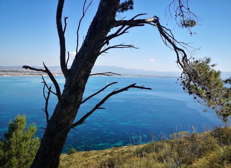 Picture 5 for Activity Cagliari Sunset tour: Poetto Tower and NatureTherapy