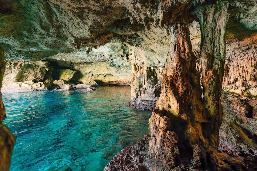 Picture 7 for Activity Cala Varques: Guided Sea Caves Kayak & Snorkeling Expedition