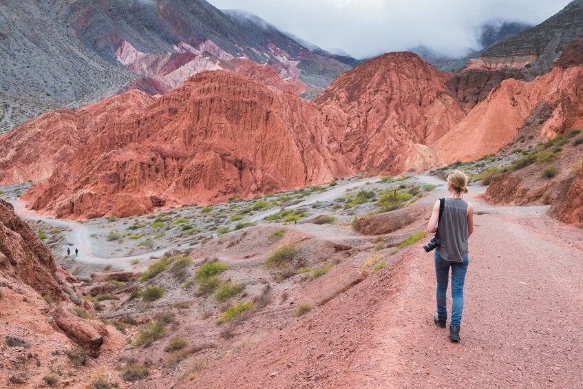 4-Days Discovery Salta Essentials with optional Airfare