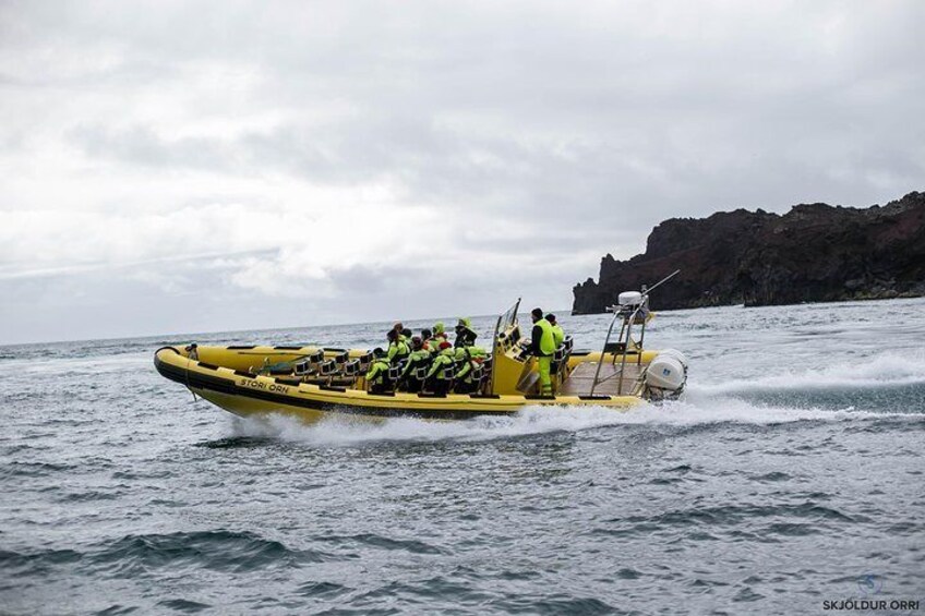 Rib boat tours in Vestmannaeyjar, south coast Iceland
