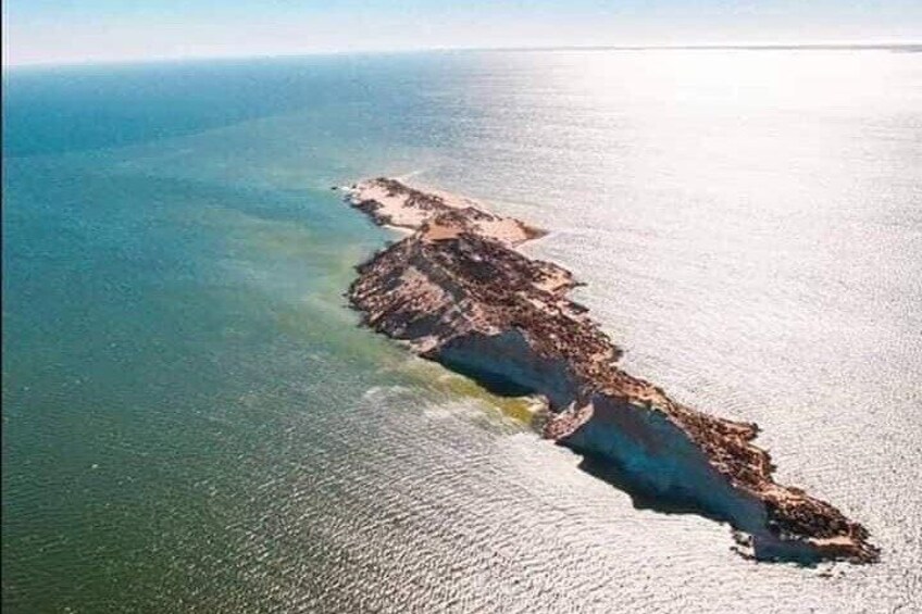 Dakhla Catmaran 