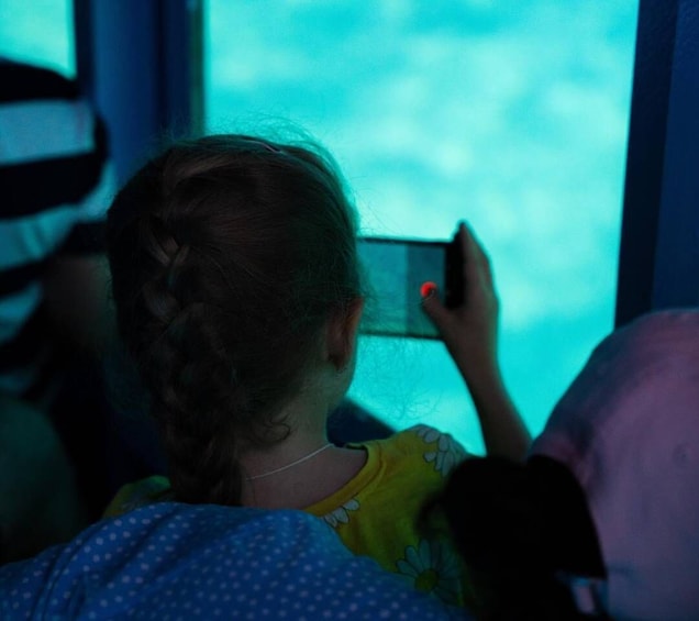 Picture 8 for Activity Corfu: Underwater Cruise in Paleokastritsa