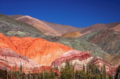 3 päivää Saltassa: Salta: Purmamarca & Salinas Grandes valinnaisella lentol...