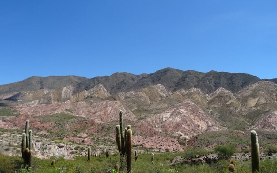 4-Days Discovering Amazing Salta - Nature & Adventure Private with Airfare