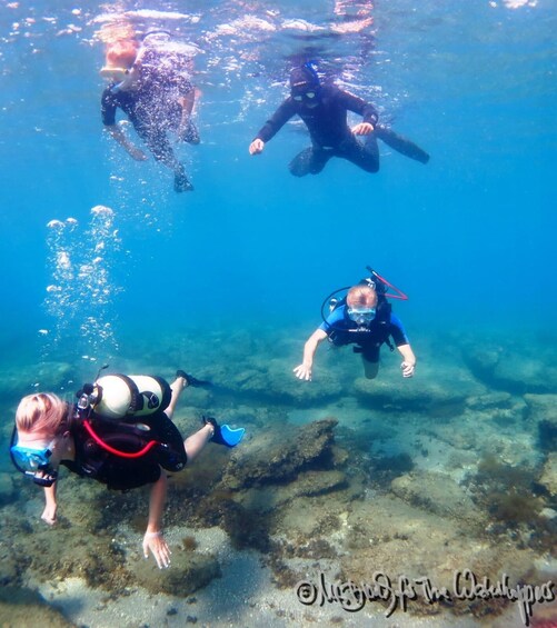 Picture 4 for Activity Scuba Diving kolymbia Rhodes Greece