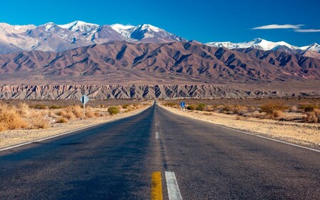 Private Weintour - Salta nach Mendoza, Fahrt über die Route 40