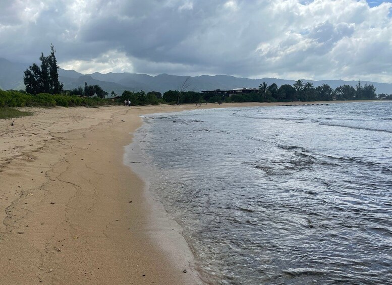 Picture 3 for Activity Oahu: Shoreline Restoration Tour w/ Native Plants & Animals