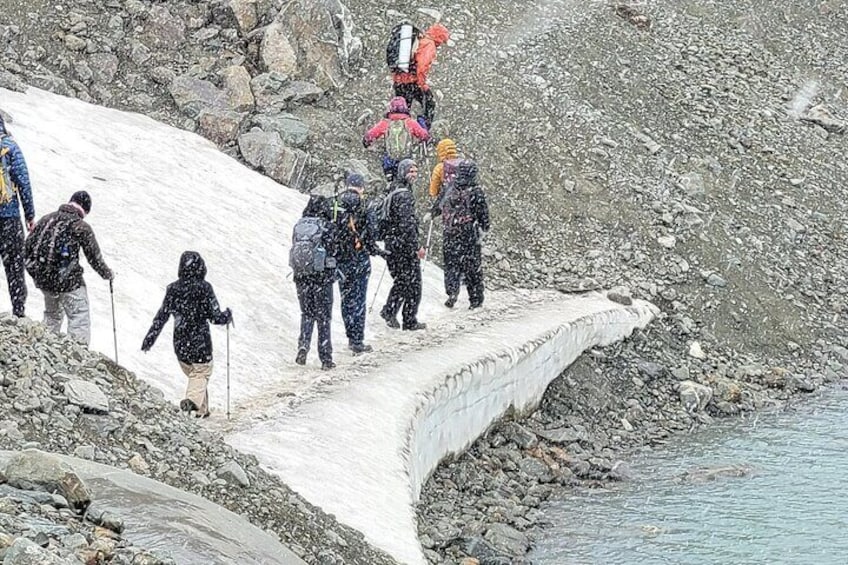 Trekking Vinciguerra Glacier and Laguna de los Témpanos