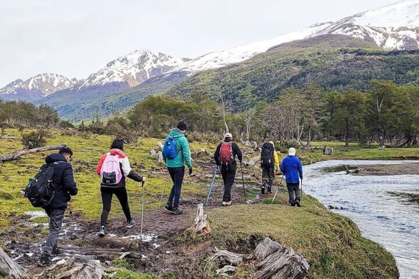 Trekking Vinciguerra Glacier and Laguna de los Témpanos