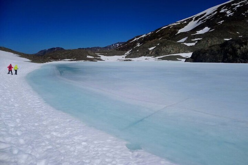 Trekking Vinciguerra Glacier and Laguna de los Témpanos