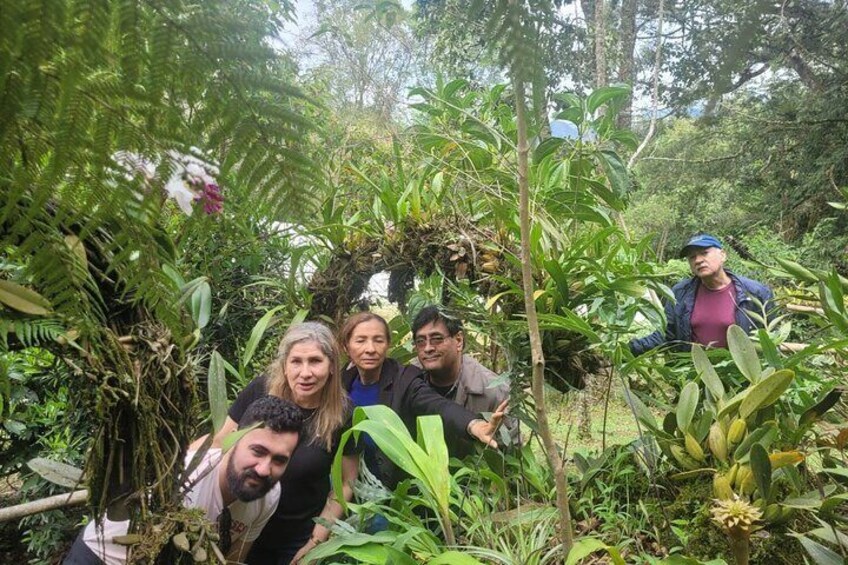 Hummingbird and Orchid Watching 1 hour from Bogotá