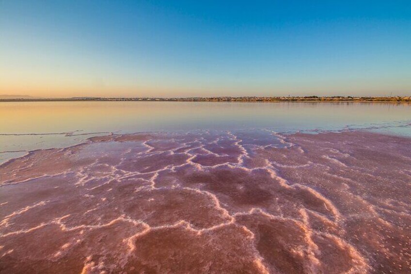 Pink Lake & Tabarca Island Tour from Alicante