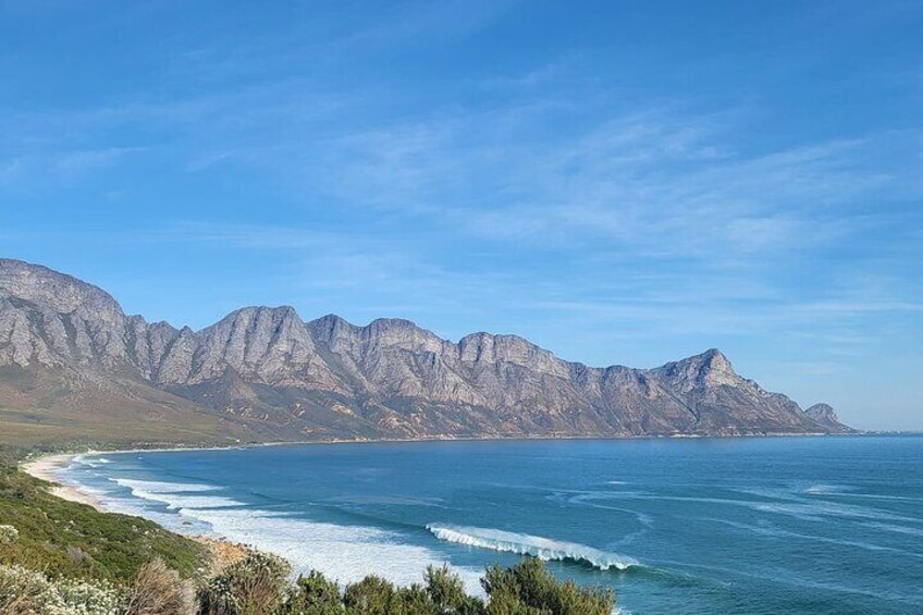 Whale Coast - 2 hours from Cape Town