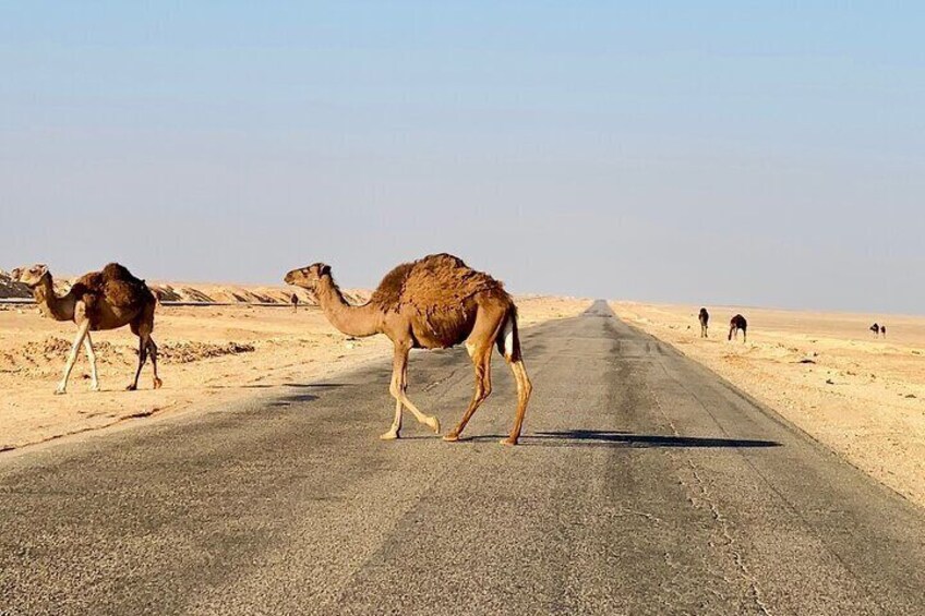Siwa road