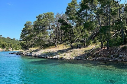 Private tour on comfortable boat with drinks included