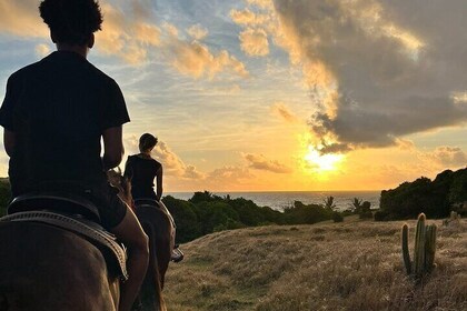 Private Sunrise Horseback Beach Ride with Sandy Hoofs St. Lucia