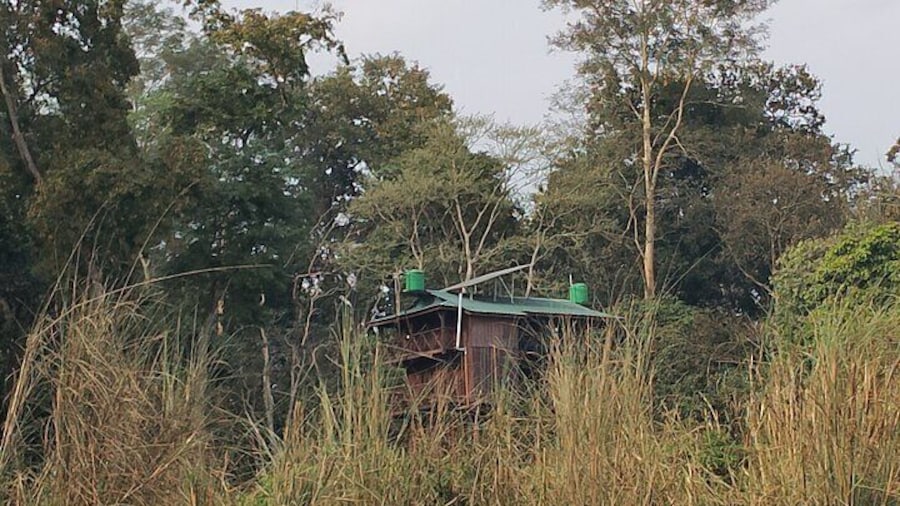 Full Day Jeep Safari in Chitwan National Park