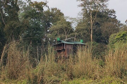 Full Day Jeep Safari in Chitwan National Park