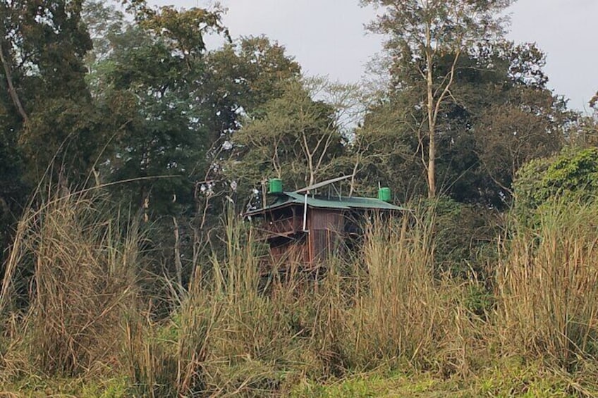 Full Day Jeep Safari in Chitwan National Park