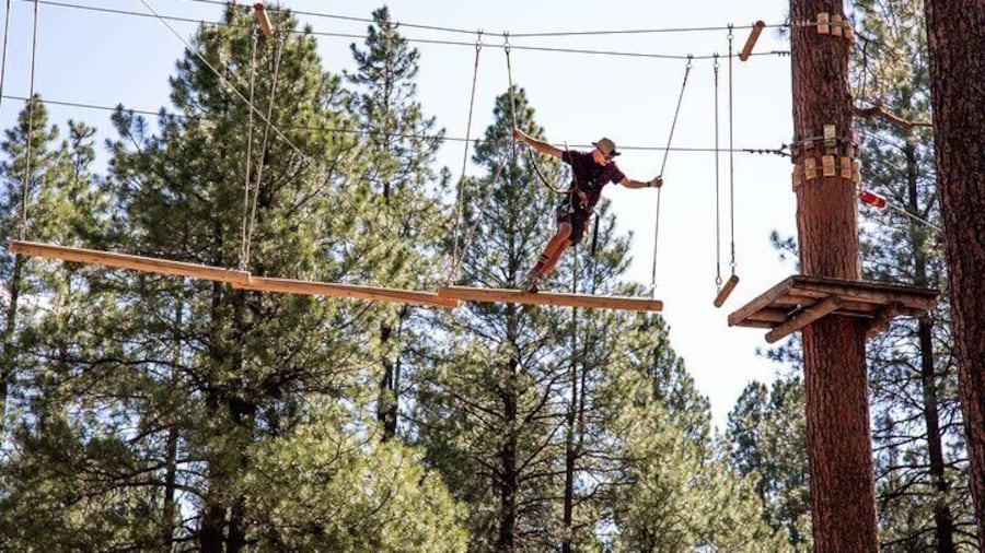 Ledgewood Adventure Course