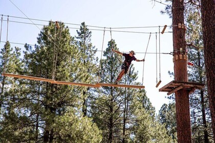 Ledgewood Adventure Course