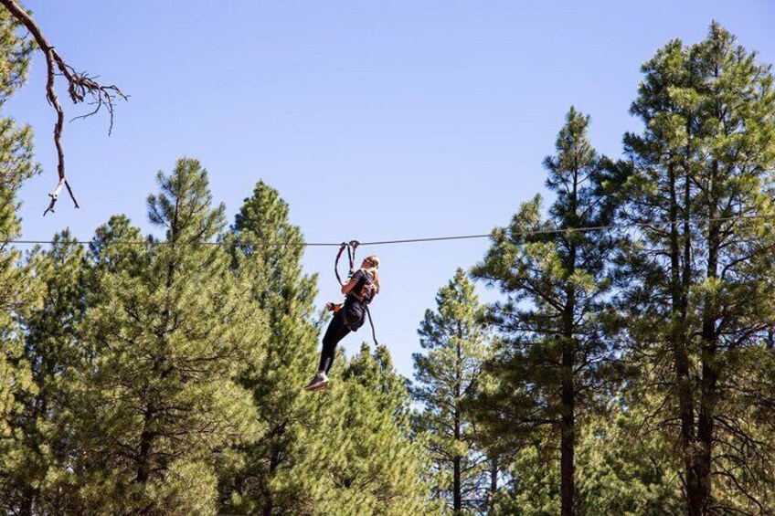 Ledgewood Adventure Course 