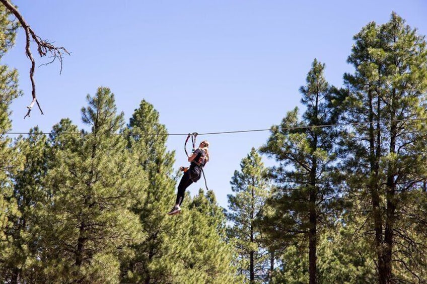 Ledgewood Adventure Course