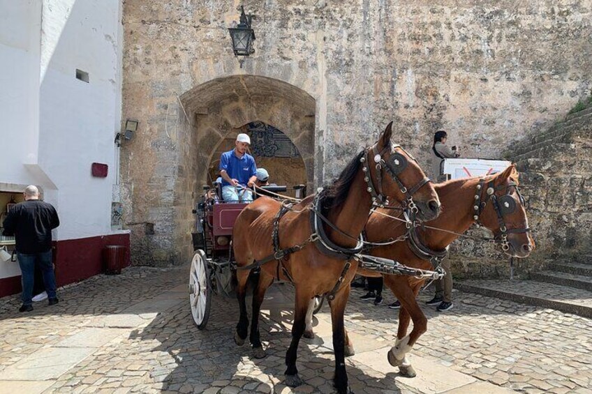 Lisbon to Porto Private Tour Visiting Fatima Nazare Obidos
