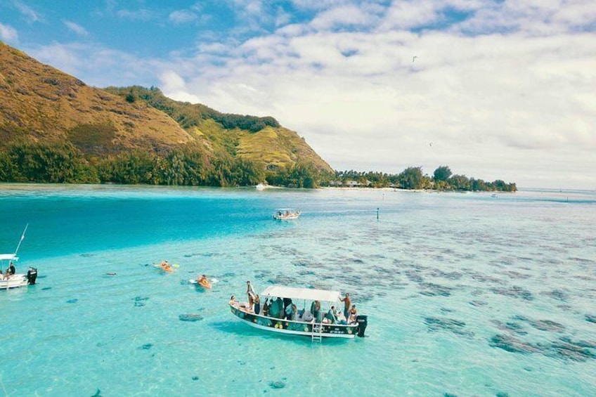 Unforgettable lagoon tour around Moorea