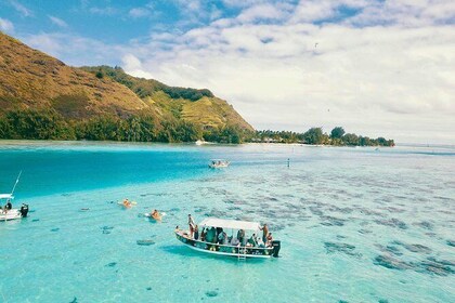 Unforgettable Lagoon Tour around Moorea (option with lunch)