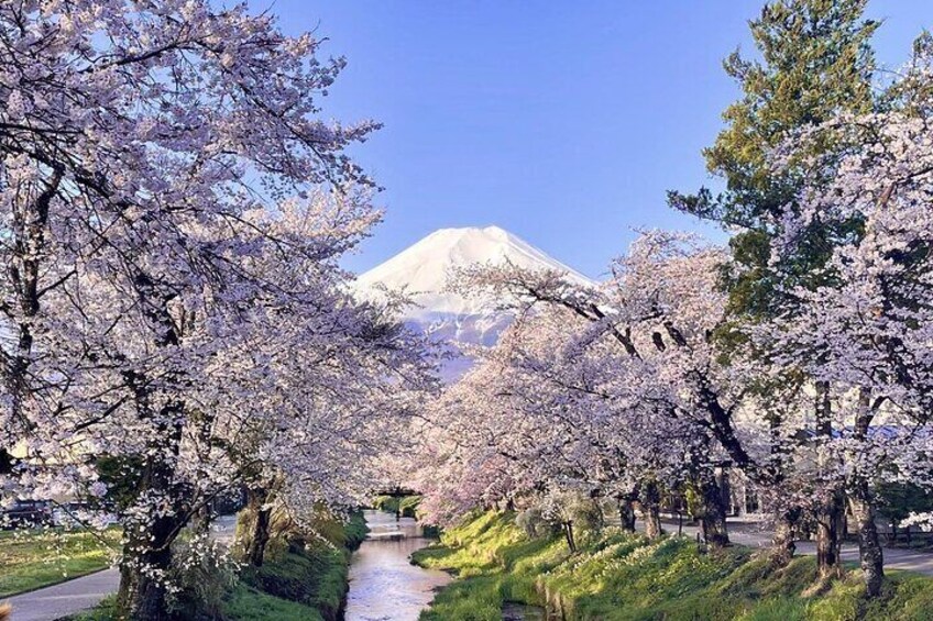 Mount Fuji Sightseeing One Day Tour from Tokyo