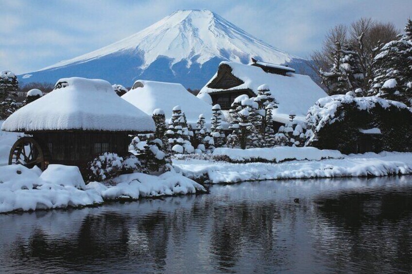 Mount Fuji Sightseeing One Day Tour from Tokyo