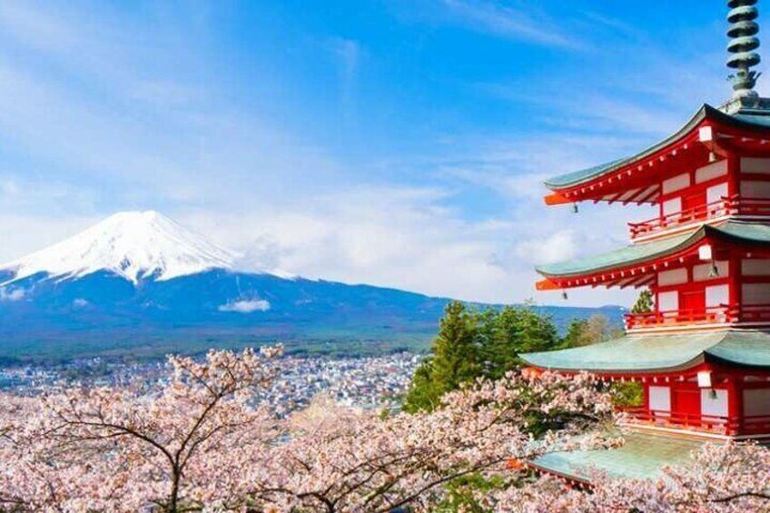 Mount Fuji Sightseeing One Day Tour from Tokyo