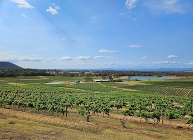 Sydney Hunter Valley Tour