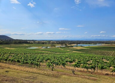 Sydney Hunter Valley Tour