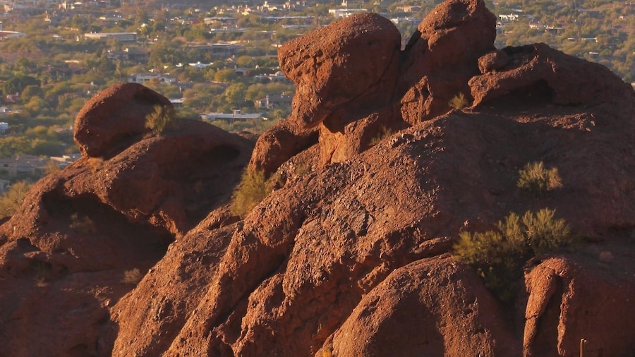 Epic Camelback Mountain Guided Hiking Adventure, Phoenix, AZ