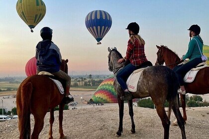 Golden Hooves Private Horseback Adventure in Luxor West Bank