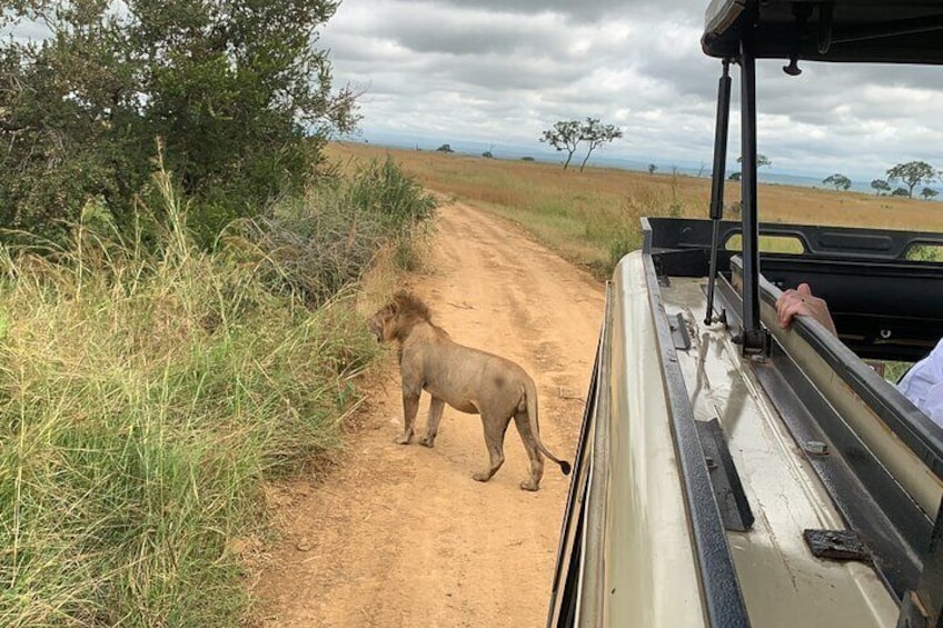 4 Days Zanzibar-Tarangire, Ngorongoro & Serengeti Luxury Tour