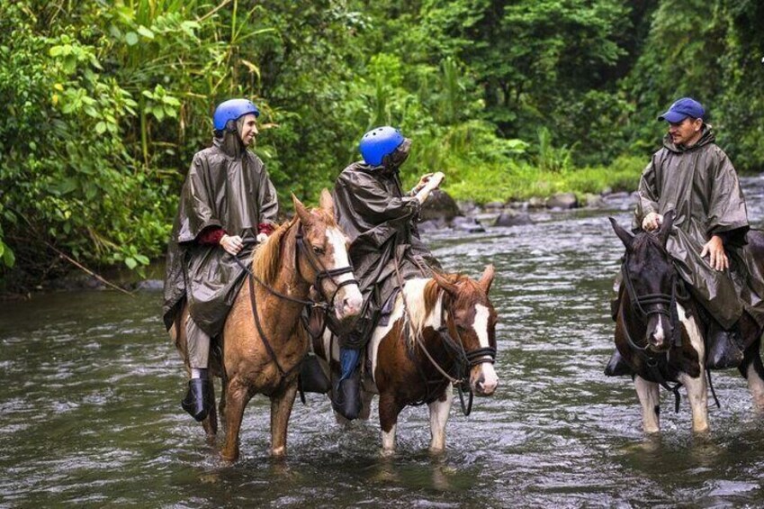 Horseback Riding in the River