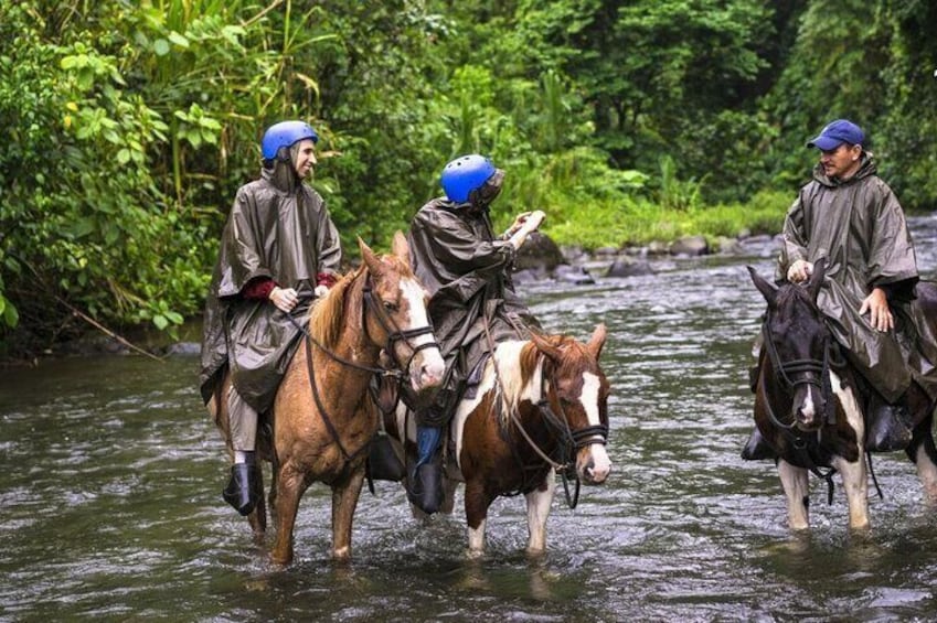 Horseback Riding in the River