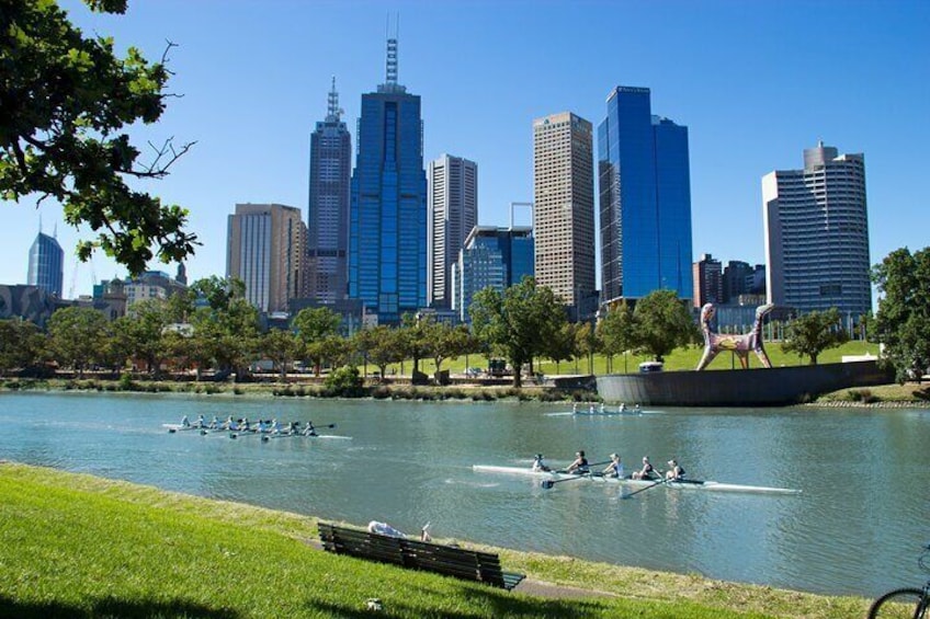 Half-Day Private Guided Introduction Tour in Melbourne