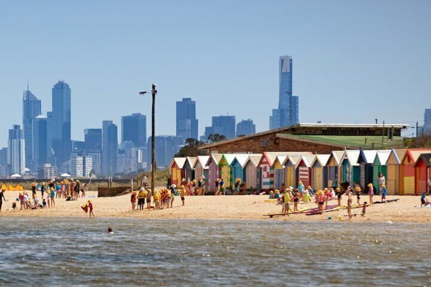 Half-Day Private Guided Introduction Tour in Melbourne
