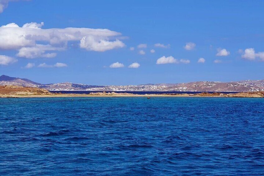 Mykonos Catamaran Delos Rhenia Cruise with Lunch and Transfer