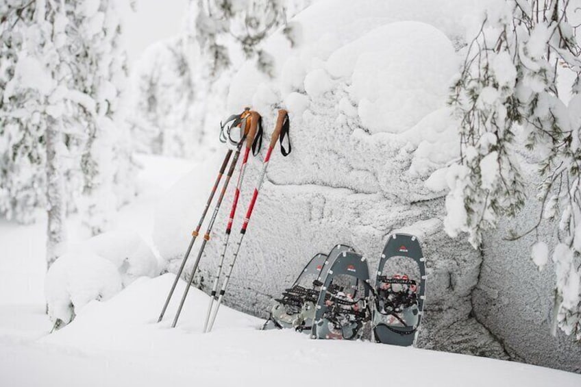 Snowshoes equipment