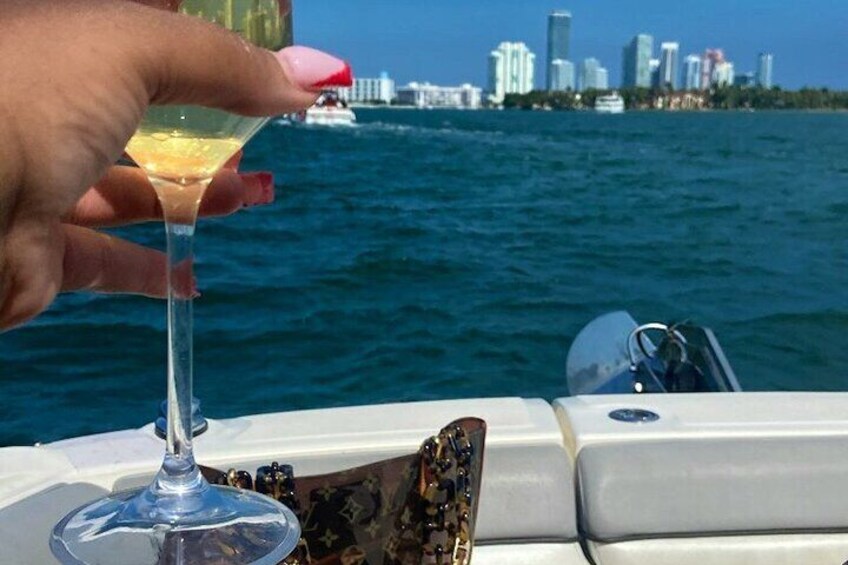 Captained Miami Private Party Ride and Swimming with Champagne