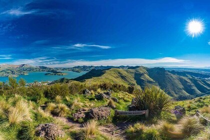 Christchurch All in One Day tour