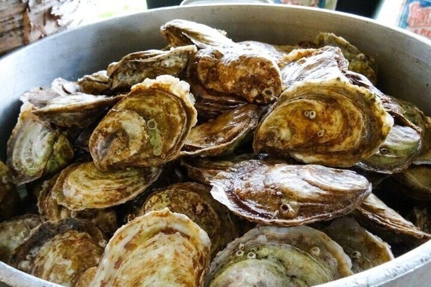 Peck of oysters waiting to be shucked, slurped and enjoyed!